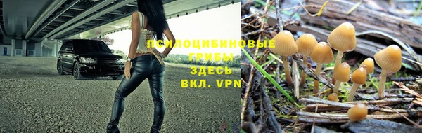 экстази Алексеевка