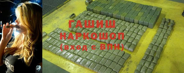 стаф Алексин