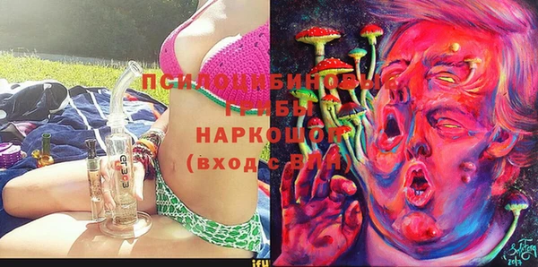 стаф Алексин