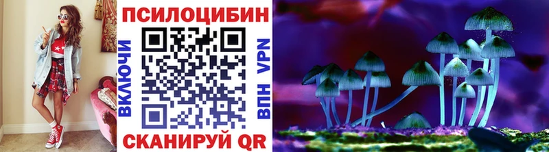ОМГ ОМГ   Наволоки  Псилоцибиновые грибы Psilocybine cubensis 
